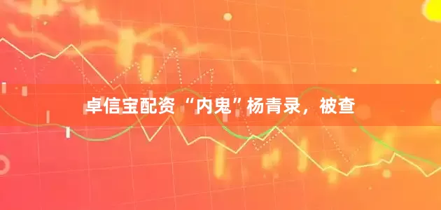 卓信宝配资 “内鬼”杨青录，被查