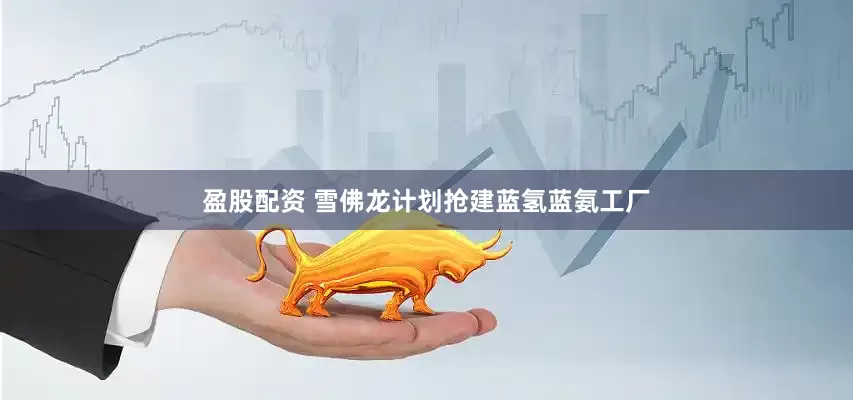 盈股配资 雪佛龙计划抢建蓝氢蓝氨工厂